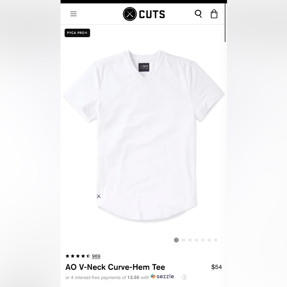 NWOT - Cuts AO Curve Hem V-neck